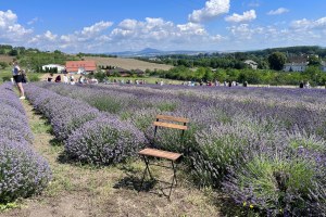 farma levan