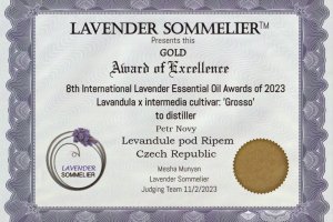 levan7