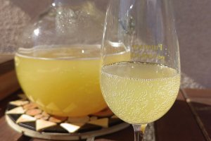 citov-vin1 (1)