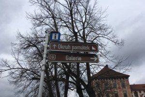 okruh cedule